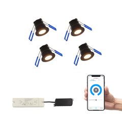 Smart Frano Led Overkapping spots met App bediening